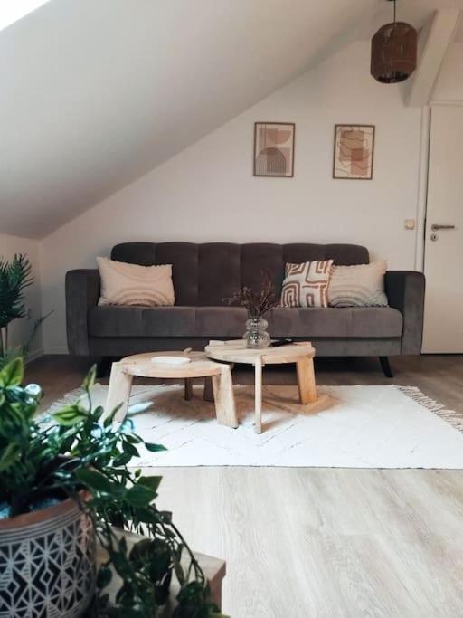 Stylische Altstadtwohnung - Netflix - Smart Tv - Schlafsofa Fuer 3 Personen Érfurt Exterior foto